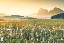 大象传媒9x视频-大象传媒9x视频，重塑娱乐体验的革新力量