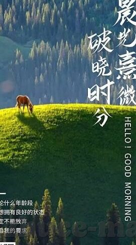 九一国产麻豆传媒-数字时代下的网络文化透视，网络视频内容与审美意识的复杂交织