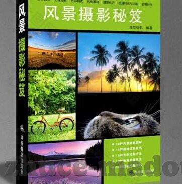 人妻人人骑-家庭与个人成长的交响曲，人妻角色的多维度探索