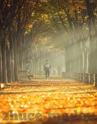 外国伦理在线观看视频-外国伦理在线视频的多元视角与文化交融