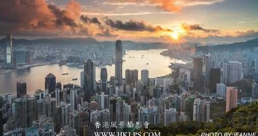 午夜麻豆福利视频-午夜温情，与麻豆共度的静谧时光