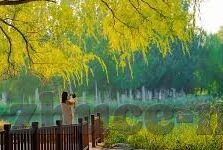 亚洲人妻色图-亚洲女性之美，文化与情感的细腻描绘